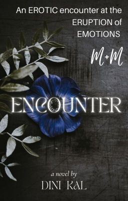 Encounter  ~ ×°{M×M}°× [|completed|] ---Under slow editing