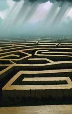 Endless maze