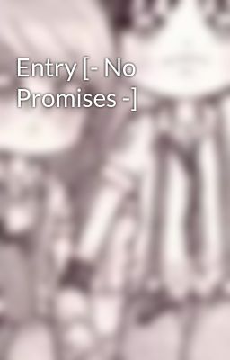 Entry [- No Promises -]