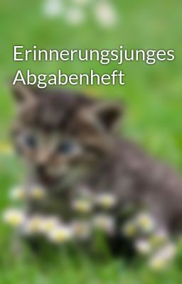 Erinnerungsjunges Abgabenheft