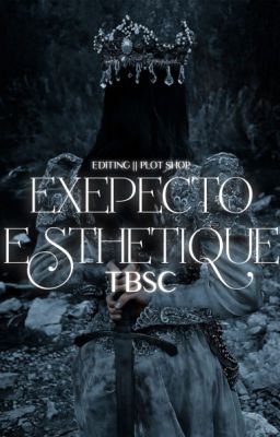 Expecto Esthétique : An Editing | Plot Shop