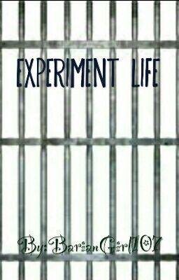 Experiment Life