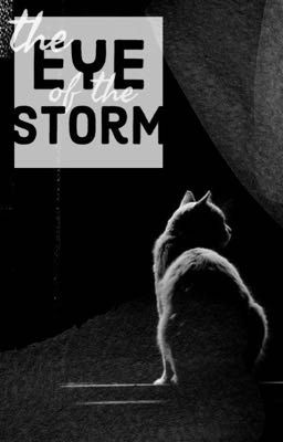 |[ EYE of the STORM ]| -A warriors fan fiction ]