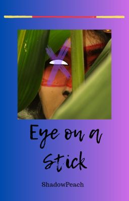 Eye on a Stick