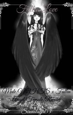 Fallen Love(Male!NiGHTS x Fallen Angel!Female!Reader)