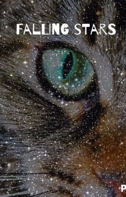 Falling Stars (A Warrior Cats FanFiction)