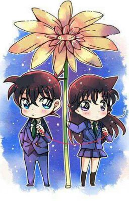 [ Fanfic ShinRan ] [ Full ] Happy new year 🎆🎉🎊