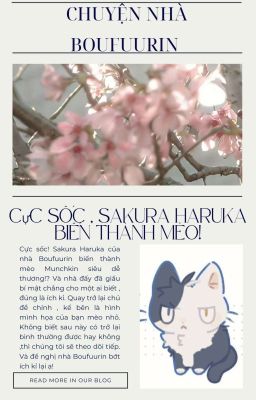 [Fanfic WBR/AllSakura Haruka] Mèo Chân Ngắn 