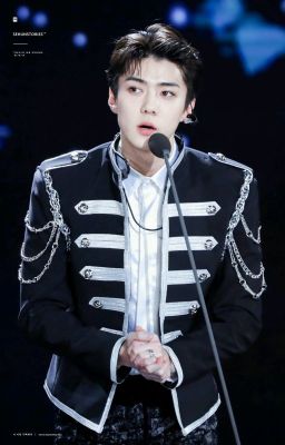 [Fanfiction Girl][Sehun] Chân Ái