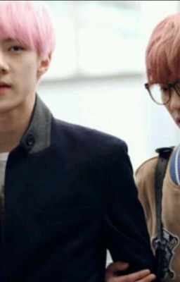 [ FANFICTION & TEXT - HUNHAN ] WILL WE BE EACH OTHER'S ?