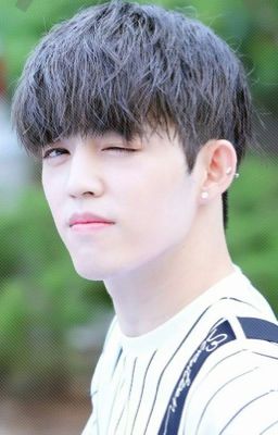 [ FANFICTIONGIRL ]{SEVENTEEN } S.Coups Bạn cùng bạn tôi là IDOL