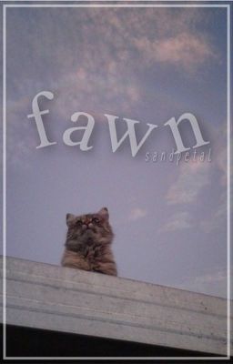 fawn ✗ / a warrior's fanfiction 