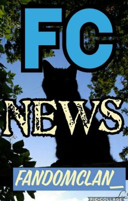 FC News