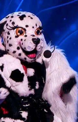 feliz cumple años dalmata :) 