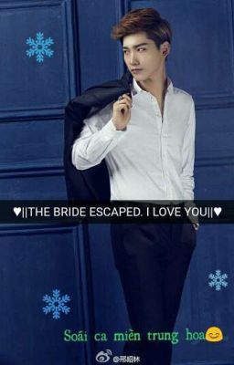 [Fictional girl] The Bride escaped. I love you♥ - Vị hôn thê bỏ trốn