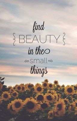 {Find Beauty In The Small Things} Collect's Shop