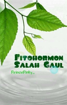 Fitohormon Salah Gaul ✔