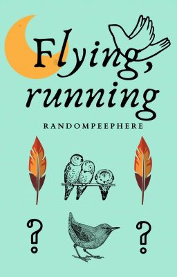 Flying, Running ✓