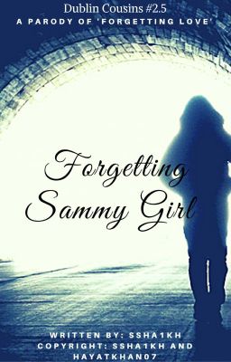 Forgetting Sammy Girl (Dublin Cousins#2.5)