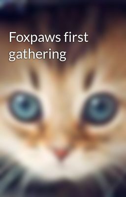 Foxpaws first gathering