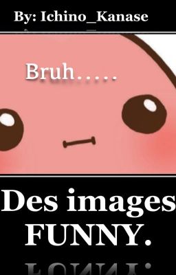 [FR] Des images FUNNY(?)