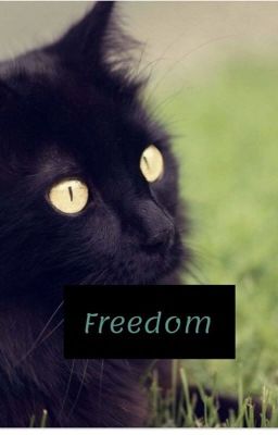 Freedom: a warrior cat fanfic