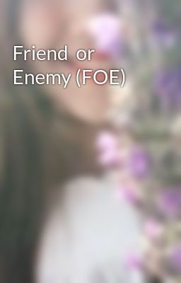 Friend  or Enemy (FOE)
