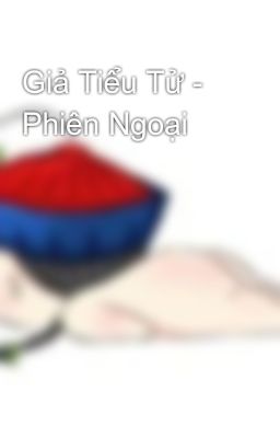 Giả Tiểu Tử - Phiên Ngoại