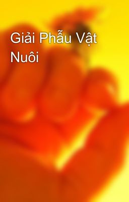 Giải Phẫu Vật Nuôi