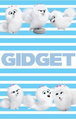 Gidget's  Music Album