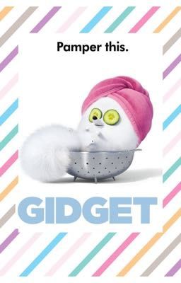 Gidget's Pamper This Music Album