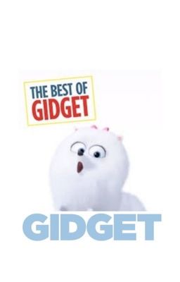 Gidget's The Best Of Gidget Music Album