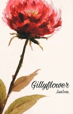 Gillyflower - BLACKPINK