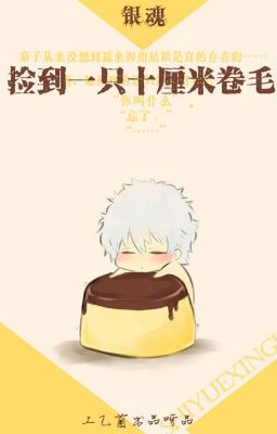 [ Gintama ] Nhặt được một con mười cm ngân cuốn mao