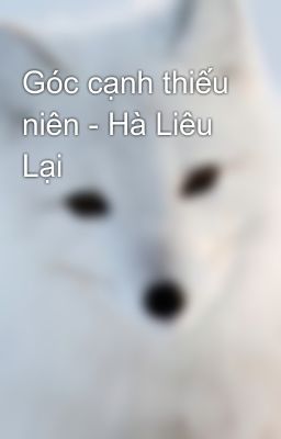 Góc cạnh thiếu niên - Hà Liêu Lại