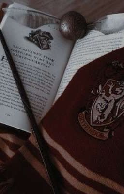 Gryffindor wizards