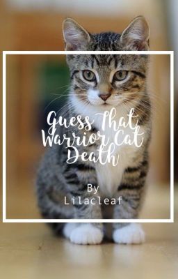 Guess That Warrior Cat Death