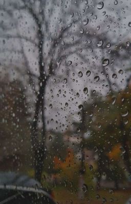 gyuhao; trú mưa