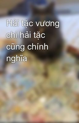 Hải tặc vương chi hải tặc cũng chính nghĩa