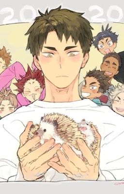 [Haikyuu!!] Đông về rồi, sưởi ấm trái tim nhé!