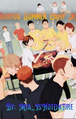 Haikyuu Summer Camp AU