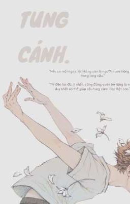 [Haikyuu!!] Tung Cánh.