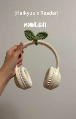{Haikyuu x Reader} Moonlight