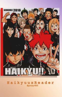 Haikyuu x Reader Oneshots 