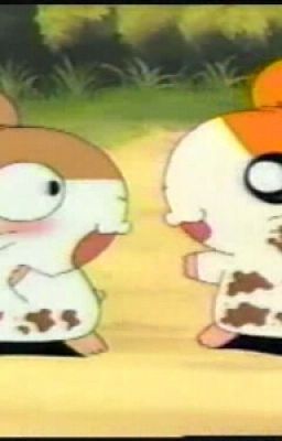 Hamtaro: Sparkle the Matchmaker