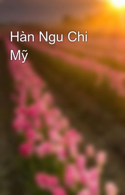 Hàn Ngu Chi Mỹ