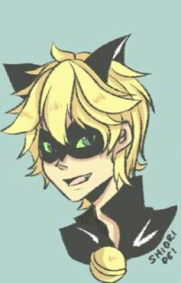 Happy Endings (Chat Noir X Reader)