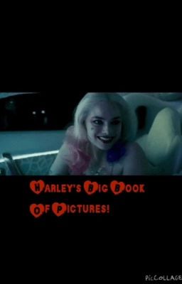 Harley's big book of pictures!