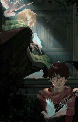 Harry Potter:Come back [DraHar]