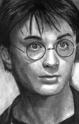 Harry Potter Cùng Mạo Bài Tiên Tri